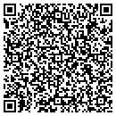 QR code with P T L Transportation contacts