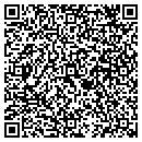 QR code with Progress Electric Supply contacts