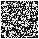 QR code with Brians Auto Salvage contacts