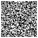 QR code with Telmetrics Inc contacts