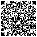 QR code with Professional Solutions contacts