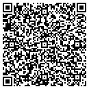 QR code with Public School System contacts