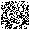 QR code with Cerberus Pyrotronics contacts