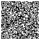 QR code with Pro Lighting contacts