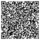 QR code with Pulse Eft Assn contacts