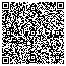 QR code with Premier Lighting LLC contacts