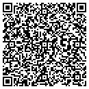 QR code with Cobb Virtual Academy contacts