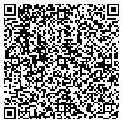 QR code with Pulaski Casimer Elementary contacts