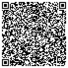 QR code with Pulaski Elementary School contacts