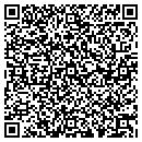 QR code with Chaplins Tax Service contacts