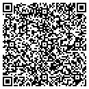 QR code with Professional Firearms contacts