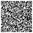 QR code with Progressive Taxes contacts