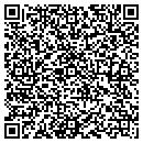 QR code with Public Schools contacts