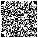 QR code with Public Schools contacts