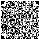 QR code with Professional Security Sltns contacts