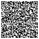 QR code with Pro-Zone Systems contacts
