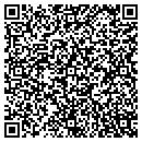 QR code with Bannister Steel Inc contacts