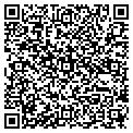QR code with Posies contacts
