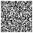 QR code with Pulse Systems contacts