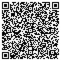 QR code with Signal contacts