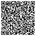 QR code with Codllc contacts