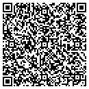 QR code with Problem Solver Fix It contacts