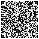 QR code with Brilex Industries Inc contacts