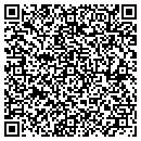 QR code with Pursuit Church contacts