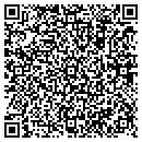 QR code with Professional Dent Repair contacts