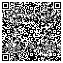 QR code with Cybur 12000 LLC contacts