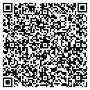QR code with Promise Mcloud L L C contacts