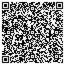 QR code with Citywide Sheet Metal contacts