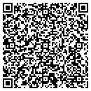 QR code with Pro Tek Mfg Inc contacts