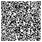 QR code with Pulaski Elks Lodge 1067 contacts