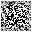 QR code with Pulse Publications contacts