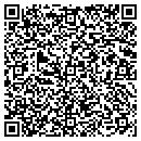 QR code with Provident Traders Inc contacts