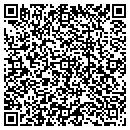 QR code with Blue Line Advisors contacts