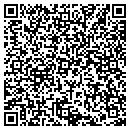 QR code with Public Works contacts