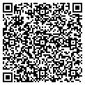 QR code with Willis contacts