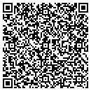 QR code with Central Valley Septic contacts