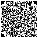 QR code with Pt 1 contacts