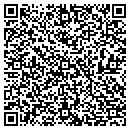 QR code with County Wide Septic LLc contacts