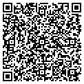 QR code with Amscot contacts