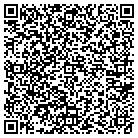 QR code with Black River Systems LLC contacts