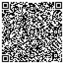 QR code with Central Illinois Cash contacts