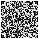 QR code with Public Sanitary Works contacts