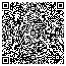QR code with Professional Dynamics contacts