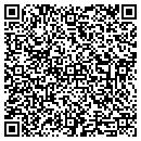QR code with Carefusion 2201 Inc contacts