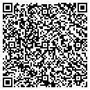 QR code with Capitol Audio Access contacts