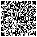QR code with Pulcinella Restaurant contacts